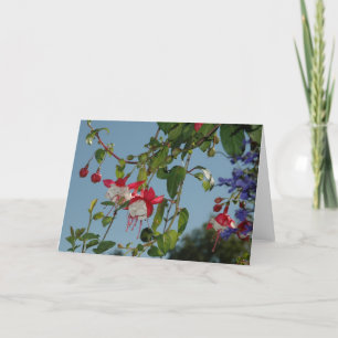 Carte Bells rouges et blanches