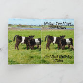 Carte Belted Galloway Baby Calves, Birthday (Intérieur)