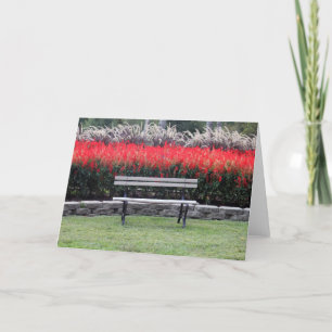 Carte Bench Red Floral Photo