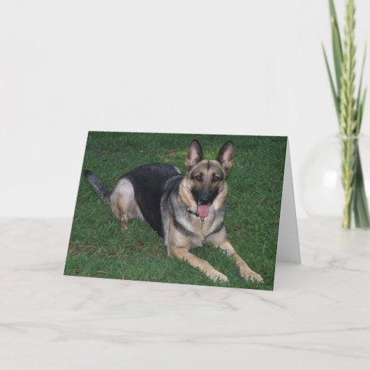 Carte Berger allemand (Devant)