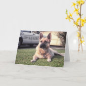 Carte Berger allemand, chien attentif d'amant d'animal (Fleur jaune)