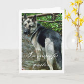 Carte Berger allemand dans The Creek ; Sympathie (Fleur jaune)