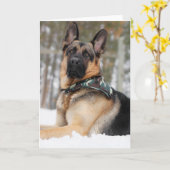 Carte Berger Allemand En Neige (Fleur jaune)