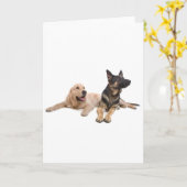 Carte berger allemand et récupérateur d'or (Fleur jaune)