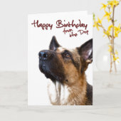 Carte Berger allemand fromthedog1 (Fleur jaune)