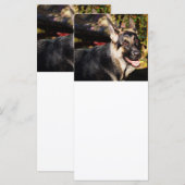 Carte berger allemand par Shirley Taylor (Devant / Derrière)