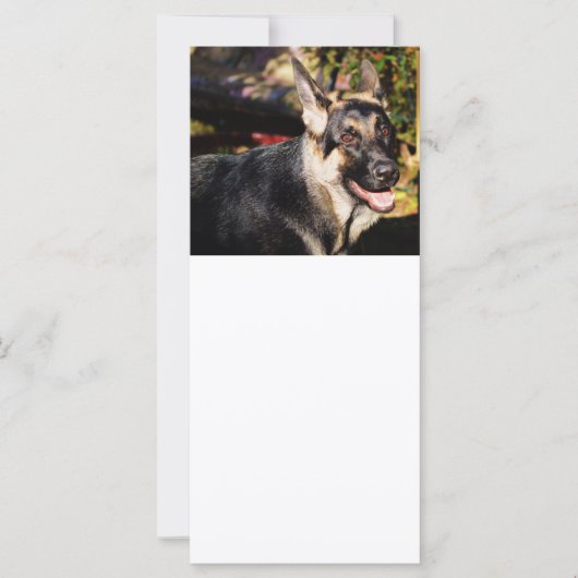 Carte berger allemand par Shirley Taylor (Devant)