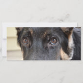 Carte berger allemand par Shirley Taylor (Dos)