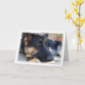 Carte berger allemande (Fleur jaune)