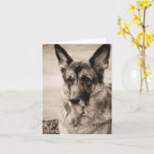 Carte berger allemande (Fleur jaune)