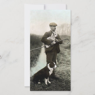 Carte Berger avec agneau et collie frontière