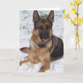 Carte Berger des neiges (Fleur jaune)