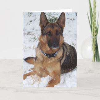 Carte Berger des neiges