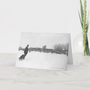 Carte Berger et chien au camp des moutons