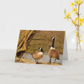 Carte bernache du canada002 (Fleur jaune)