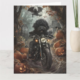 Carte Bernedoodle à moto Halloween effrayant