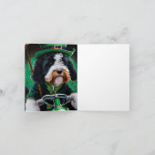 Carte Bernedoodle Chien conduisant vélo St. Patrick's Da (Intérieur)