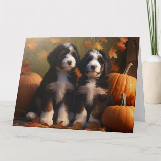Carte Bernedoodle Chiot Automne Citrouille de plaisir (Devant)