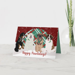 Carte Bernese Leonberger Grandes Pyrénées St Bernard