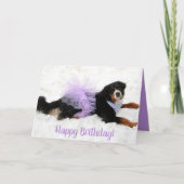 Carte Bernese Mountain Dog Anniversaire (Devant)