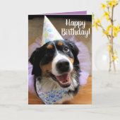 Carte Bernese Mountain Dog Anniversaire (Fleur jaune)