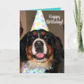 Carte Bernese Mountain Dog Anniversaire (Devant)