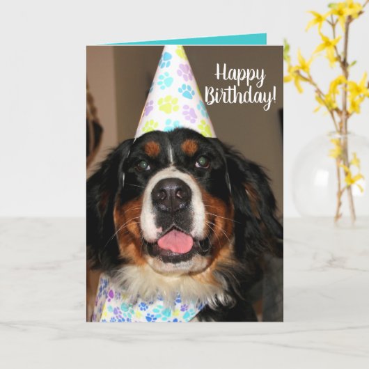Carte Bernese Mountain Dog Anniversaire (Fleur jaune)