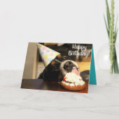 Carte Bernese Mountain Dog Anniversaire (Devant)