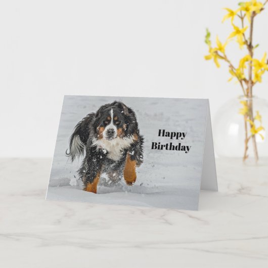 Carte Bernese Mountain Dog photo Neige Anniversaire (Fleur jaune)