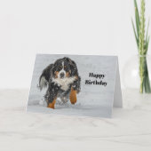 Carte Bernese Mountain Dog photo Neige Anniversaire (Devant)