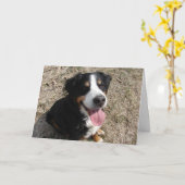 Carte Bernese Mountain Dog Smile (Fleur jaune)
