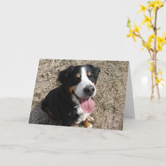 Carte Bernese Mountain Dog Smile (Fleur jaune)