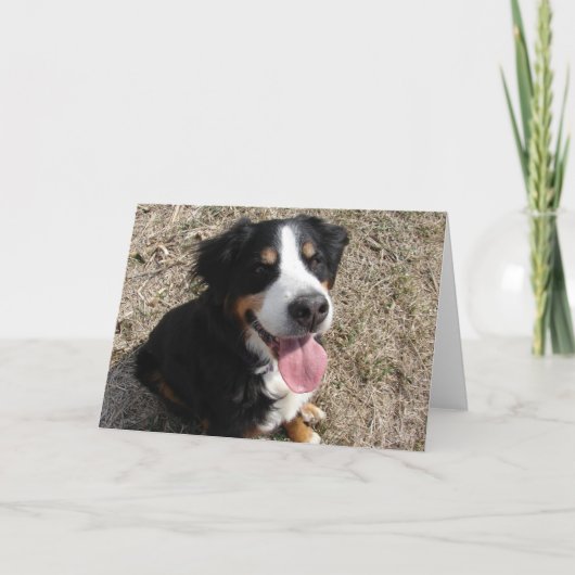 Carte Bernese Mountain Dog Smile (Devant)