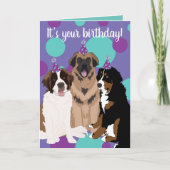 Carte Bernese, Saint Bernard, Leonberger Anniversaire (Devant)