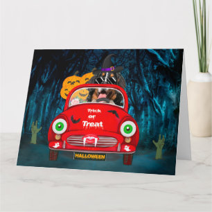 Carte Bernois Mountain Dog voiture voiture effrayant Hal