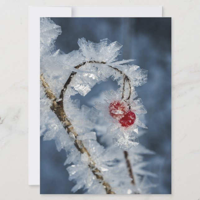 Carte Berry (Devant)