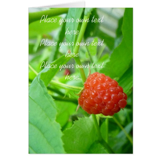 Carte Berry Raspberry (Devant)