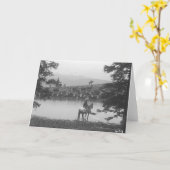 Carte Bétail par un étang avec deux cowboys (Fleur jaune)