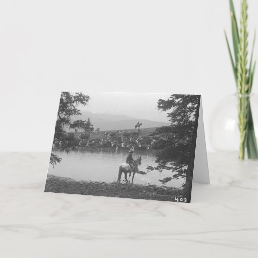 Carte Bétail par un étang avec deux cowboys (Devant)