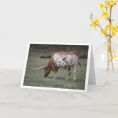 Carte Bétail Texas Longhorn Paissant (Fleur jaune)