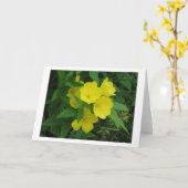 Carte Beurre (Fleur jaune)