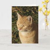 Carte Beurre le Kitten Toutes les occasions (Fleur jaune)