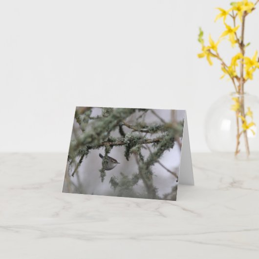 Carte Bewick's Wren and moss Blank Note Card (Fleur jaune)