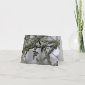 Carte Bewick's Wren and moss Blank Note Card