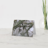 Carte Bewick's Wren and moss Blank Note Card (Devant)