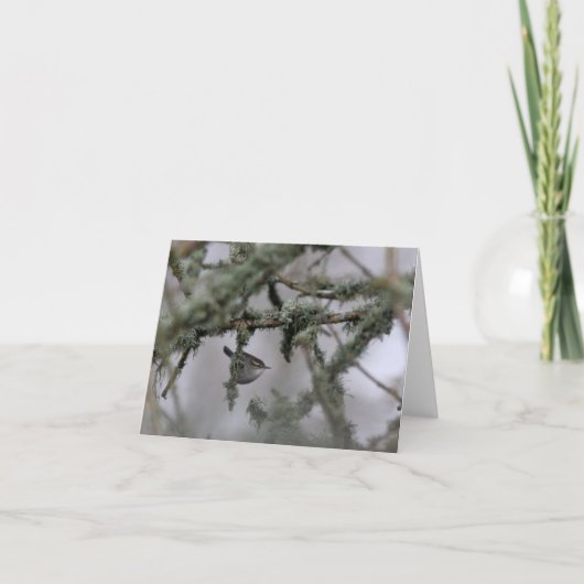 Carte Bewick's Wren and moss Blank Note Card (Devant)