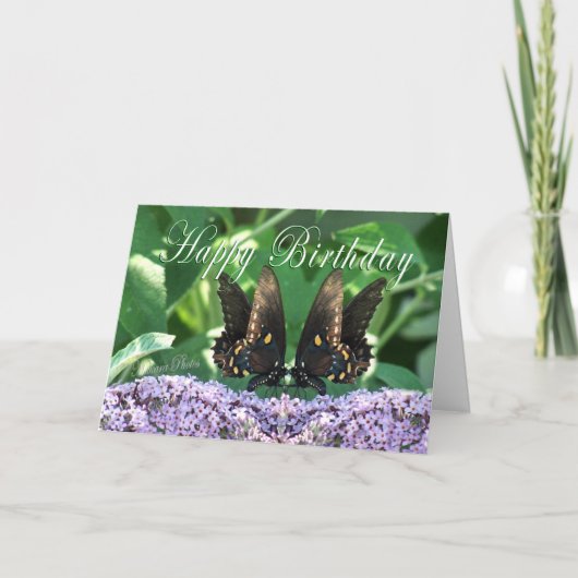 Carte BflyKissesHBDcard (Devant)