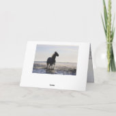 Carte Bible Soyez forts et courageux Cheval Graduation (Dos)