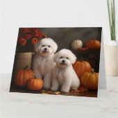 Carte Bichon Frise chiot automne délice citrouille  (Devant)