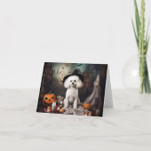 Carte Bichon Frise Citrouilles Halloween effrayant (Devant)